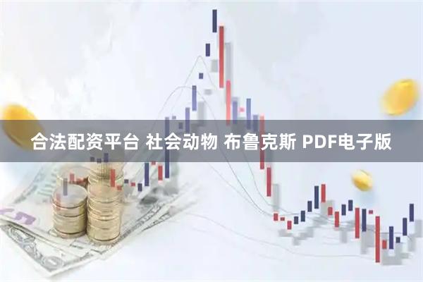 合法配资平台 社会动物 布鲁克斯 PDF电子版