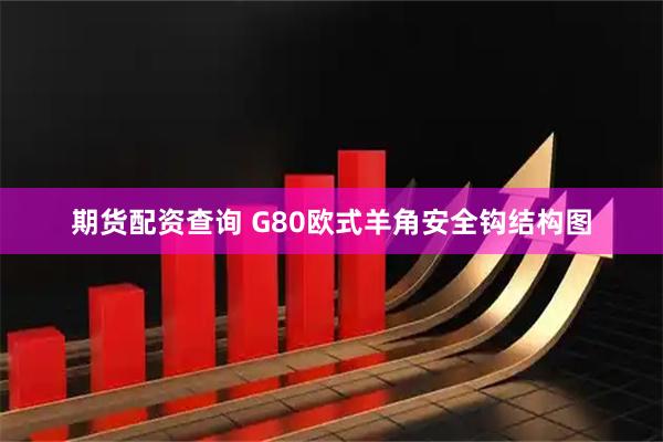 期货配资查询 G80欧式羊角安全钩结构图