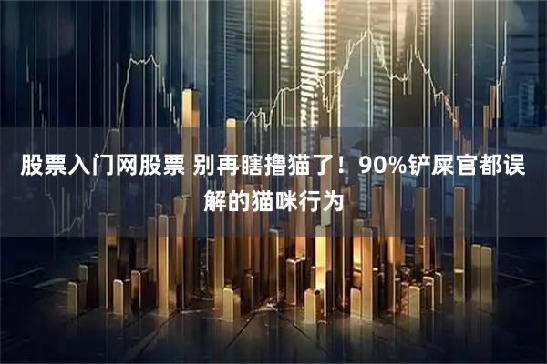 股票入门网股票 别再瞎撸猫了！90%铲屎官都误解的猫咪行为