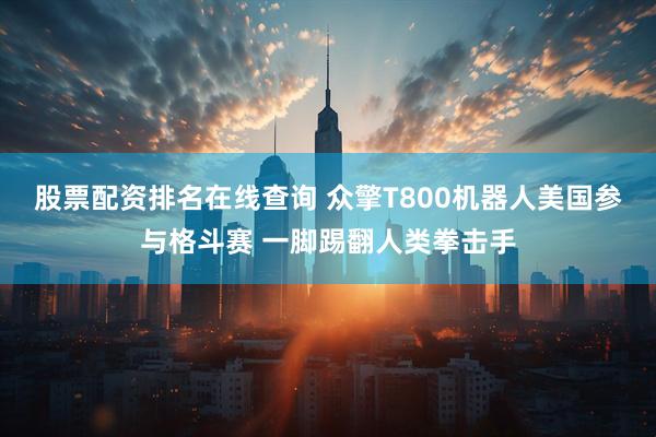 股票配资排名在线查询 众擎T800机器人美国参与格斗赛 一脚踢翻人类拳击手