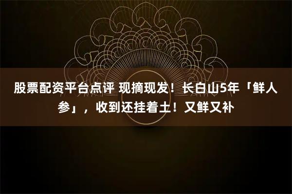 股票配资平台点评 现摘现发！长白山5年「鲜人参」，收到还挂着土！又鲜又补
